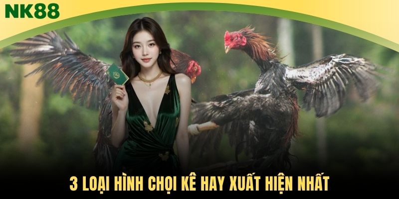 3 loại hình chọi kê hay xuất hiện nhất