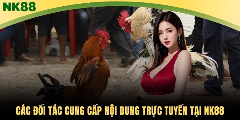 Các đối tác cung cấp nội dung trực tuyến tại NK88