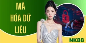 Mã Hóa Dữ Liệu - Tiêu Chuẩn Bảo Mật Sảnh Esports NK88