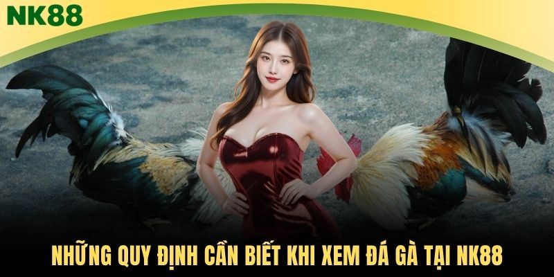 Những quy định cần biết khi xem đá gà tại NK88