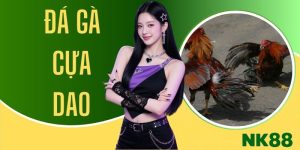 Đá Gà Cựa Dao
